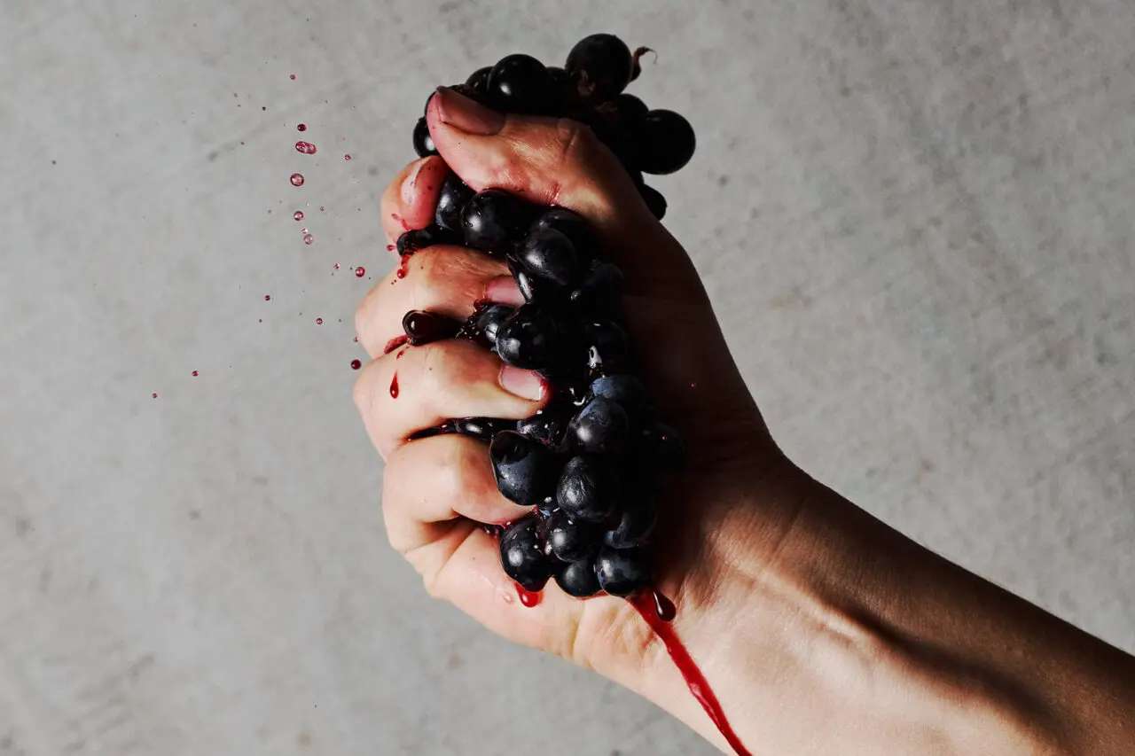 What is Carbonic Maceration?