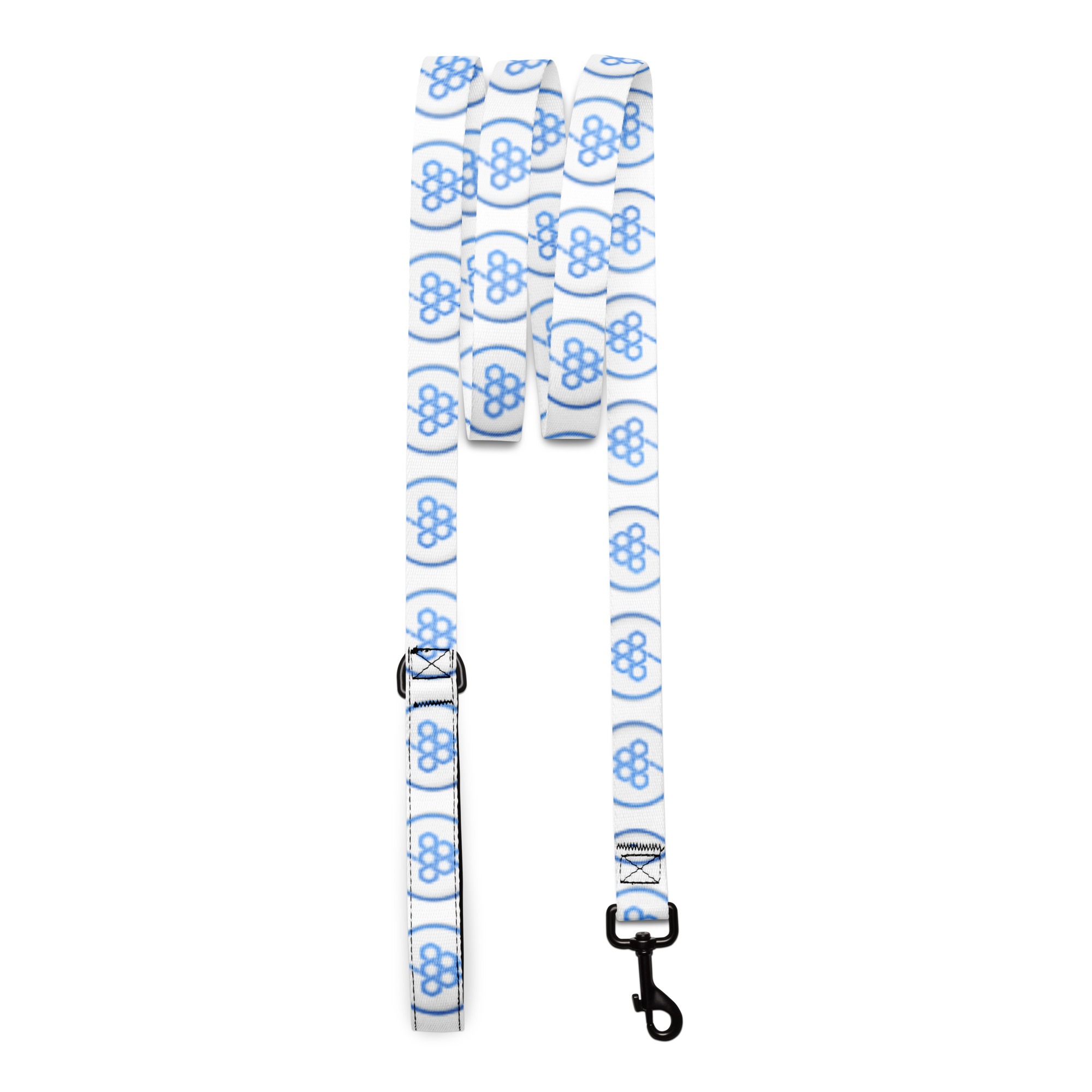 Pet leash
