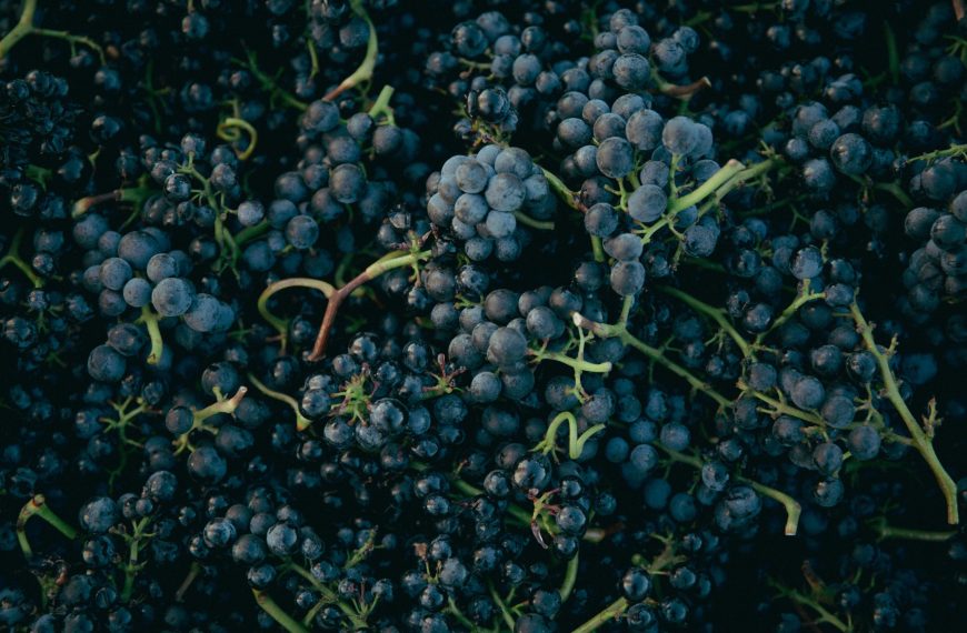 Featured image for Pinot Noir Global Guide: Styles, Regions, And How To Taste This Shape‑shifting Grape on mywination.com.
