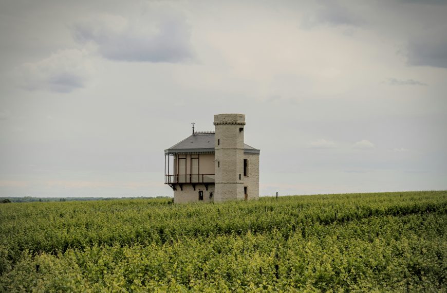 Featured image for Climats, Terroirs Of Burgundy: How Place Shapes Pinot And Chardonnay on mywination.com.