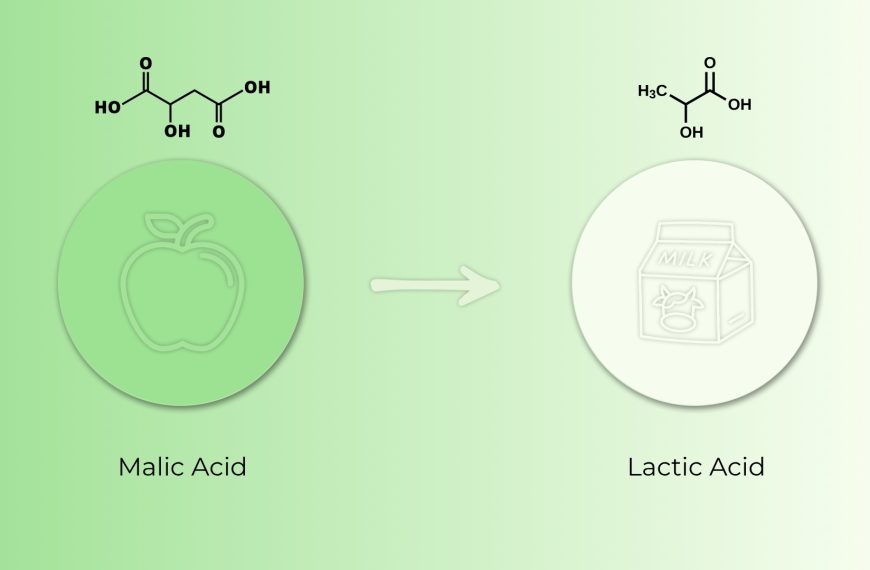 Malolactic Conversion in Wine: What It…