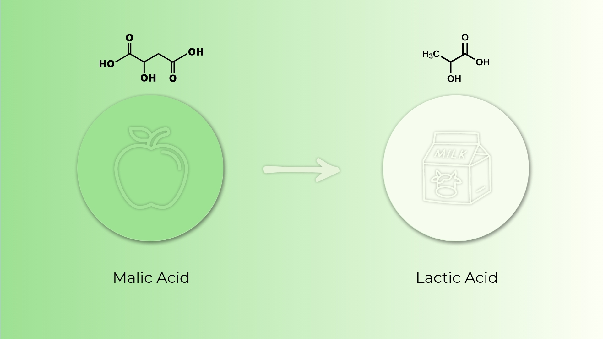 Malolactic Conversion in Wine: What It…